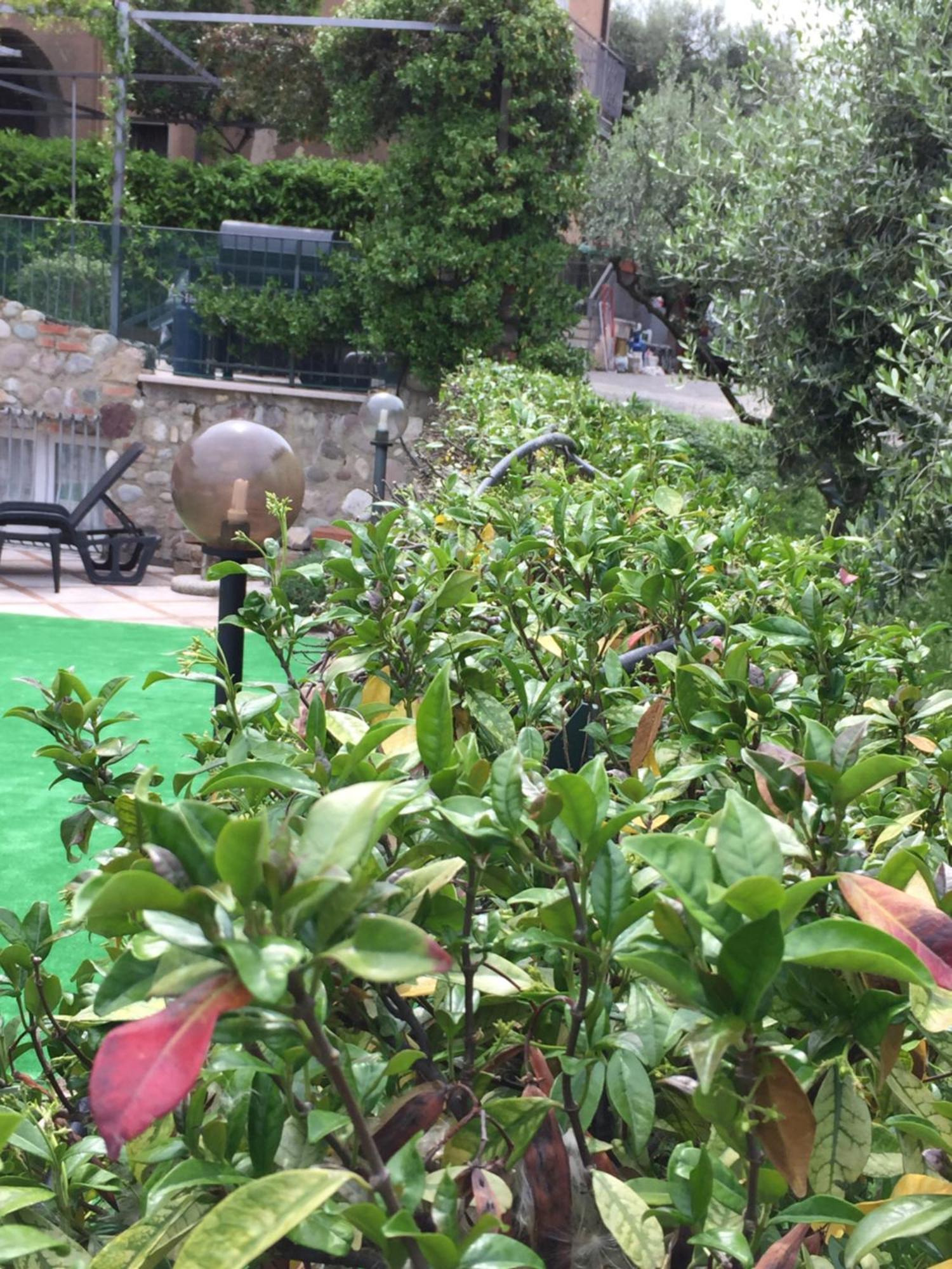 Borgo Piccolo Hotel Cavaion Veronese Exterior photo